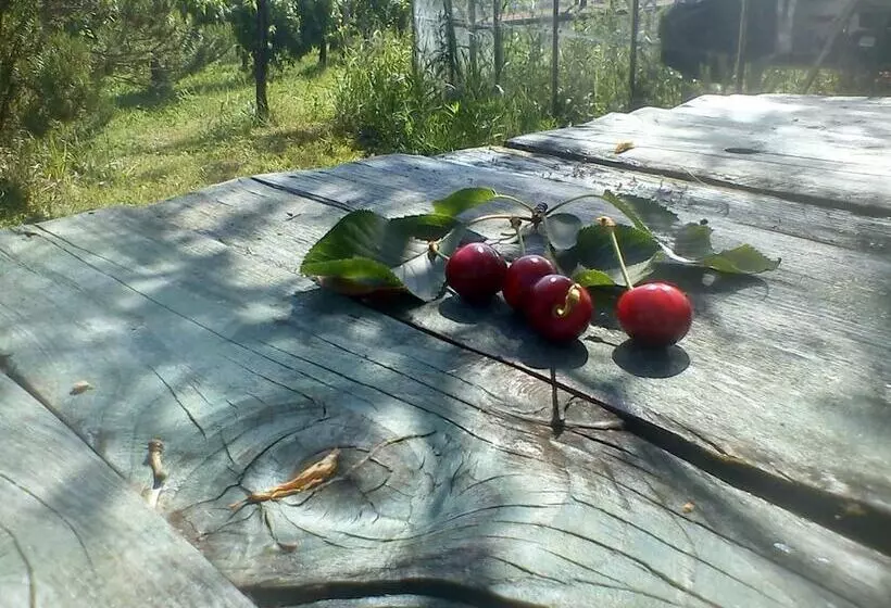 B&b And Wellness Il Pomario Di Montepiglio Resort Naturista