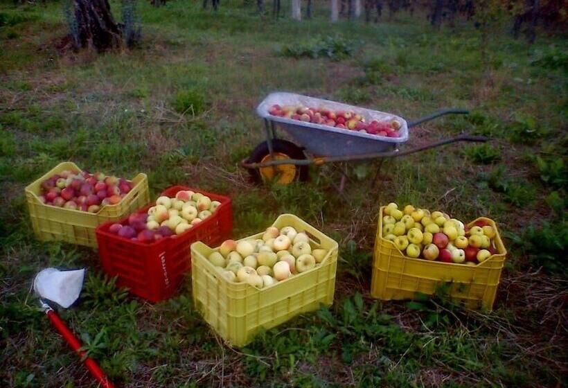 B&b And Wellness Il Pomario Di Montepiglio Resort Naturista