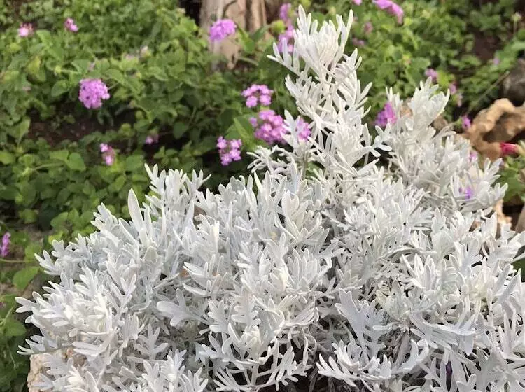 B&b Il Grillo Parlante