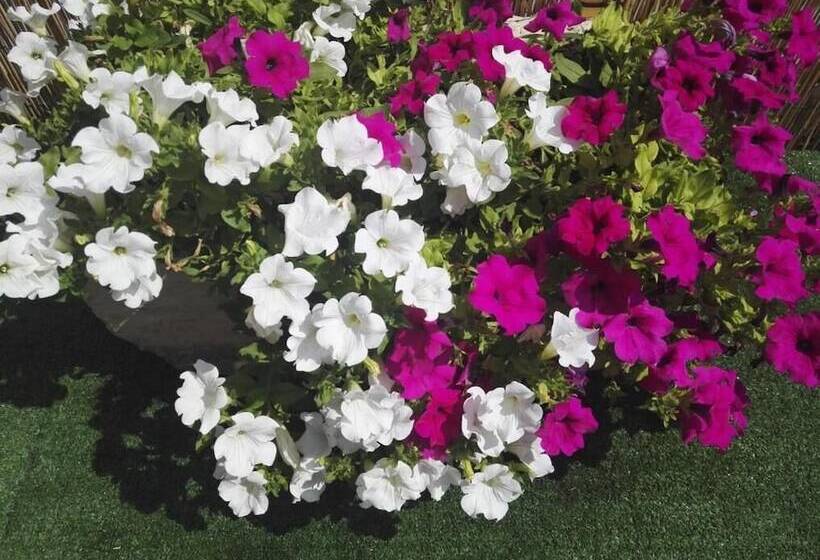 B&b Il Grillo Parlante