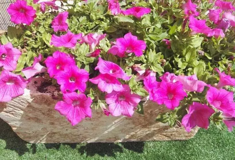 B&b Il Grillo Parlante