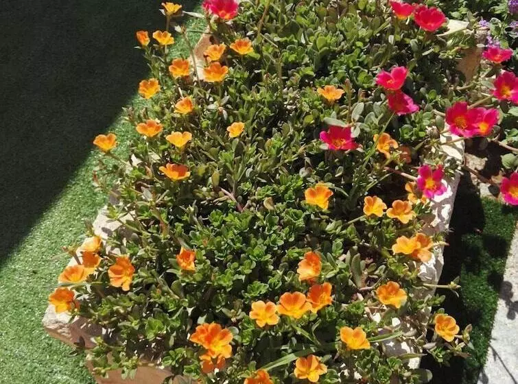 B&b Il Grillo Parlante