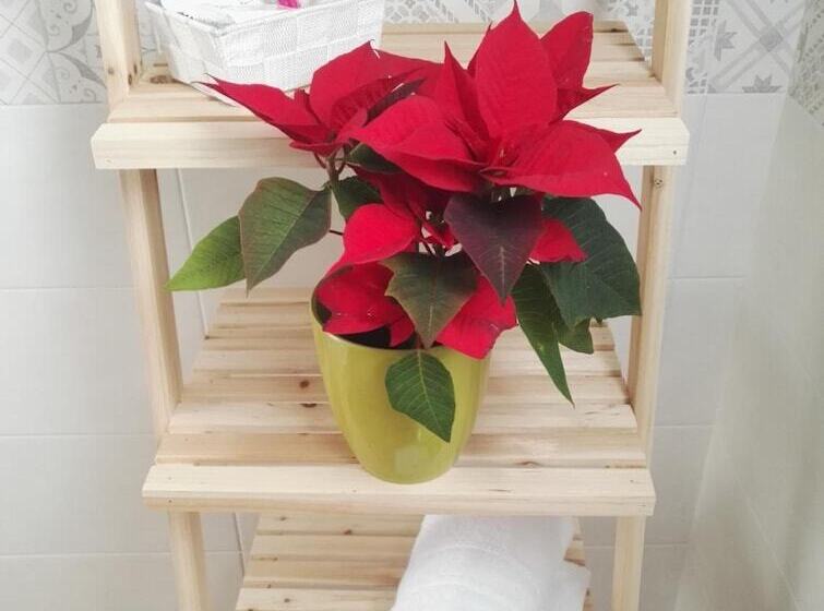 B&b Il Grillo Parlante