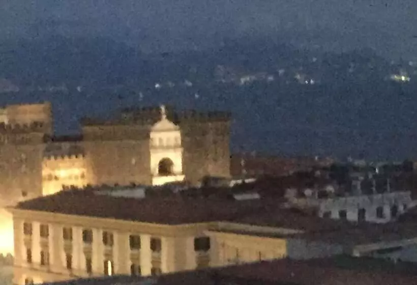 Flyresidence Municipio Toledo