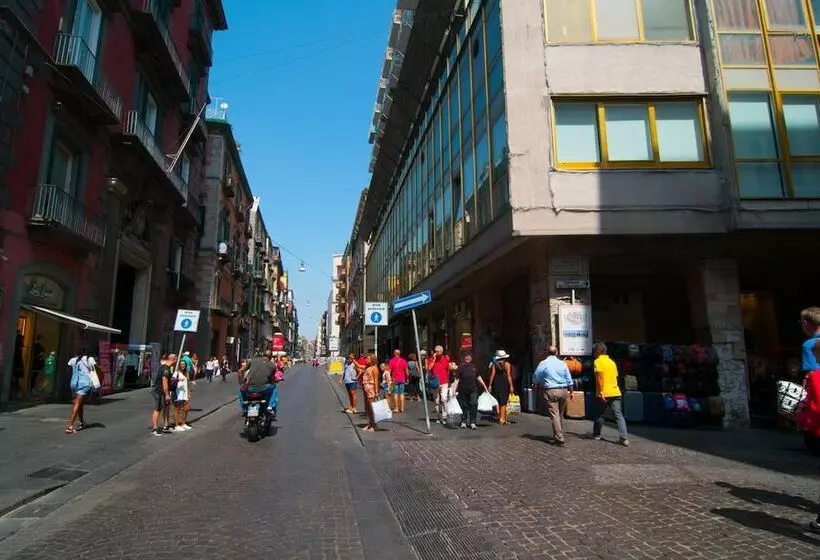 Flyresidence Municipio Toledo