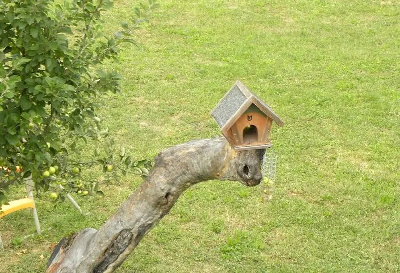 Aamiaismajoitus (B&B) La Castagna Matta