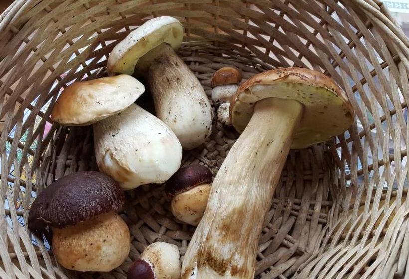 住宿加早餐  La Castagna Matta