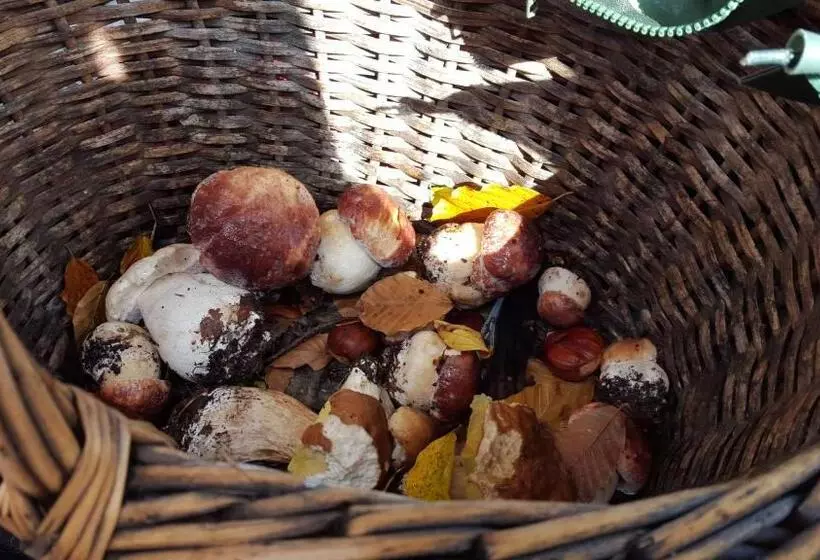 Aamiaismajoitus (B&B) La Castagna Matta