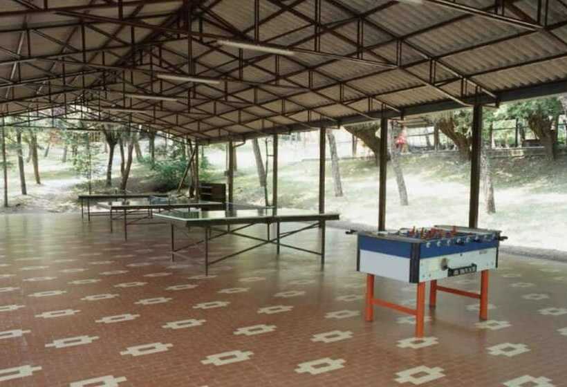 Отель Camping Arizona