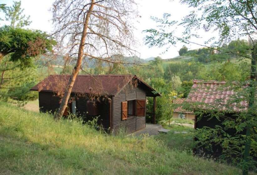 Отель Camping Arizona