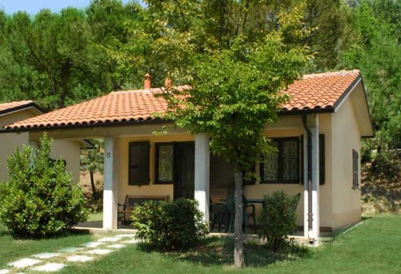 Отель Camping Arizona