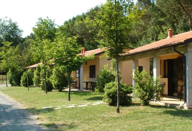 Отель Camping Arizona