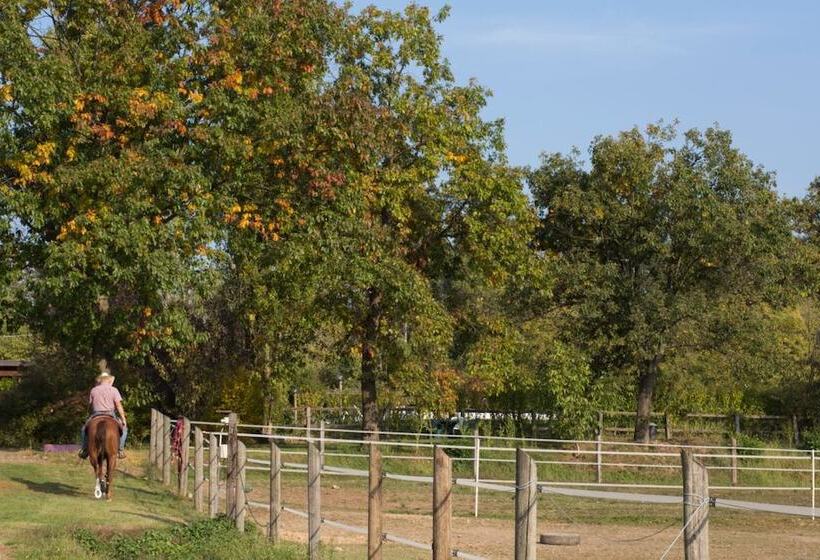 田舎風ホテル Agriturismo Fano S Farm