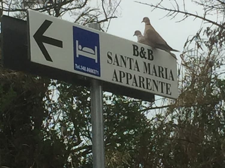 Monolocali B&b Santa Maria Apparente