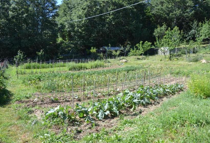 پانسیون B&b Il Palazzo