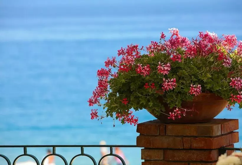 בית מלון כפרי Caparena