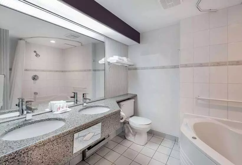 호텔 Ramada Plaza By Wyndham Gatineau/manoir Du Casino