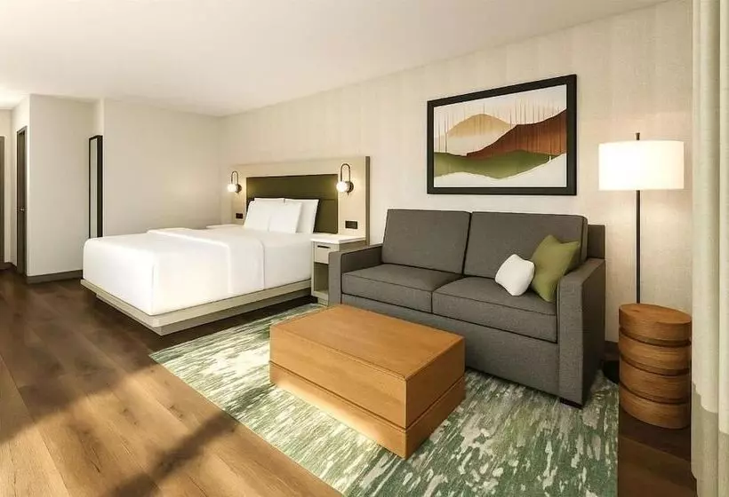ホテル Ramada Plaza By Wyndham Gatineau/manoir Du Casino