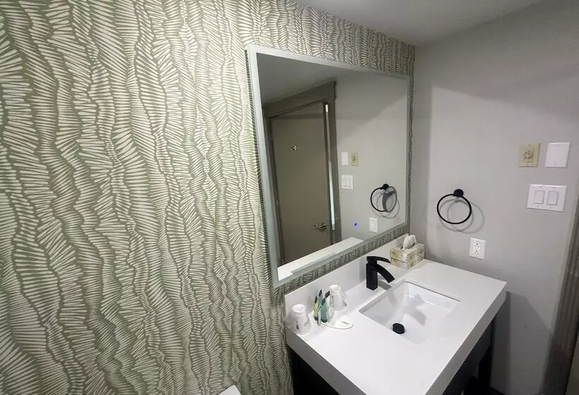 ホテル Ramada Plaza By Wyndham Gatineau/manoir Du Casino