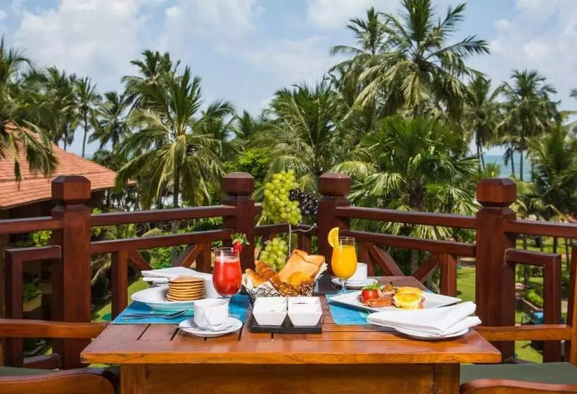 Отель Royal Palms Beach