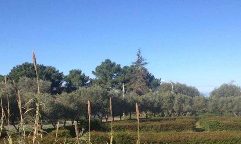 ベッドアンドブレックファースト Feudo Di Villa Anticaglia