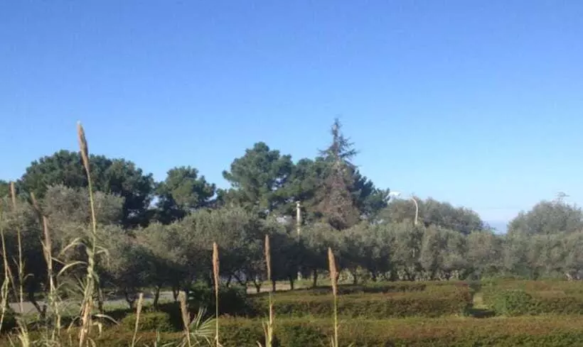 Aamiaismajoitus (B&B) Feudo Di Villa Anticaglia