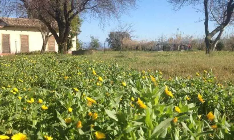 Aamiaismajoitus (B&B) Feudo Di Villa Anticaglia