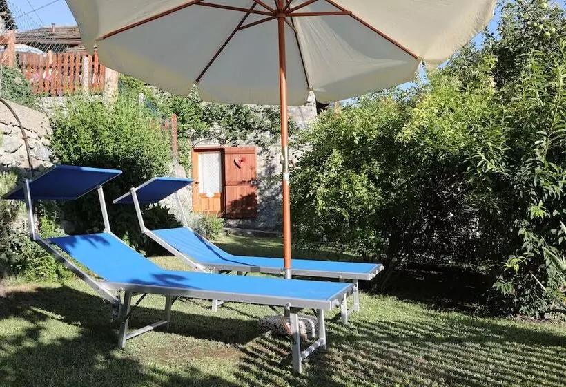 Le Rosier B&b E Appartamento