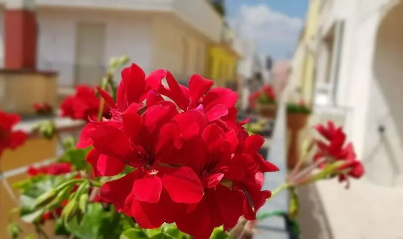 Cupersanum B&b