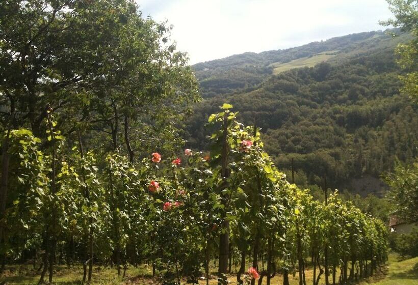 B&b Bosco Dei Cervi