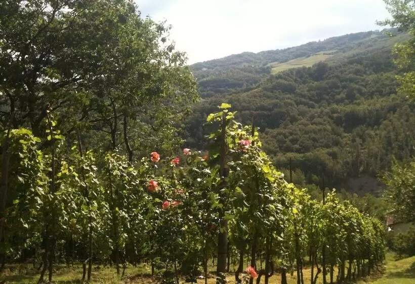 B&b Bosco Dei Cervi