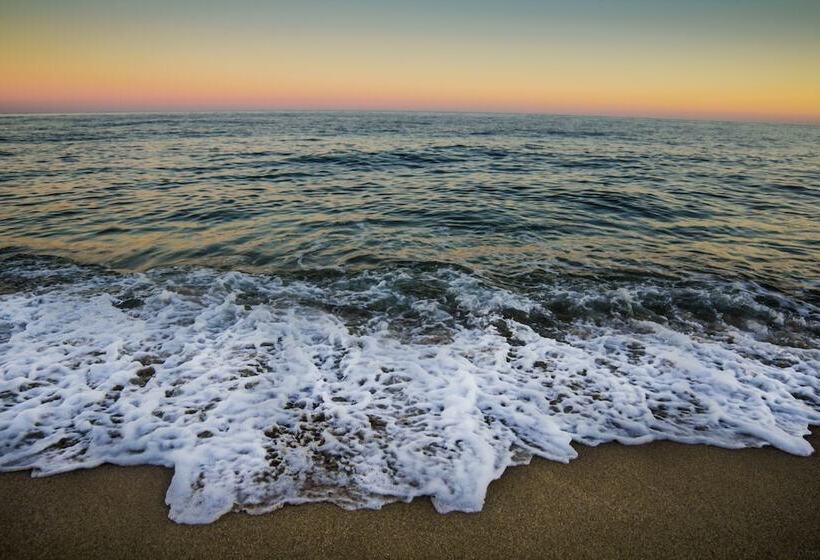 Bed and Breakfast Casa Saba