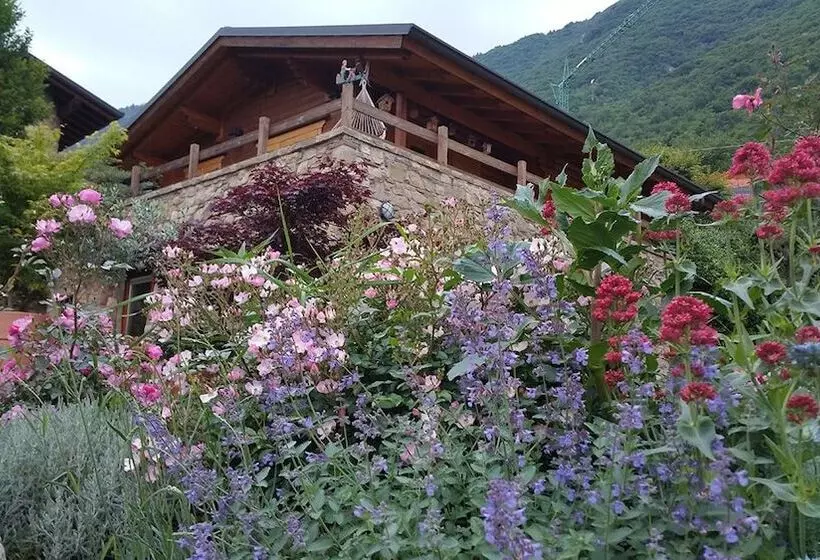 Aamiaismajoitus (B&B) Il Lago Racconta