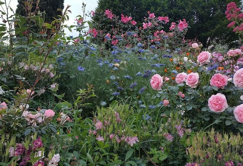 민박 Il Lago Racconta