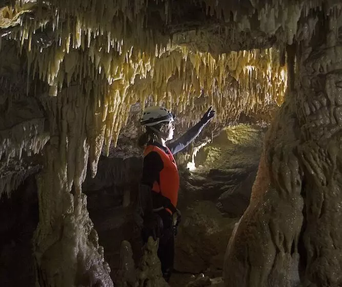 ベッドアンドブレックファースト Villa Belvedere