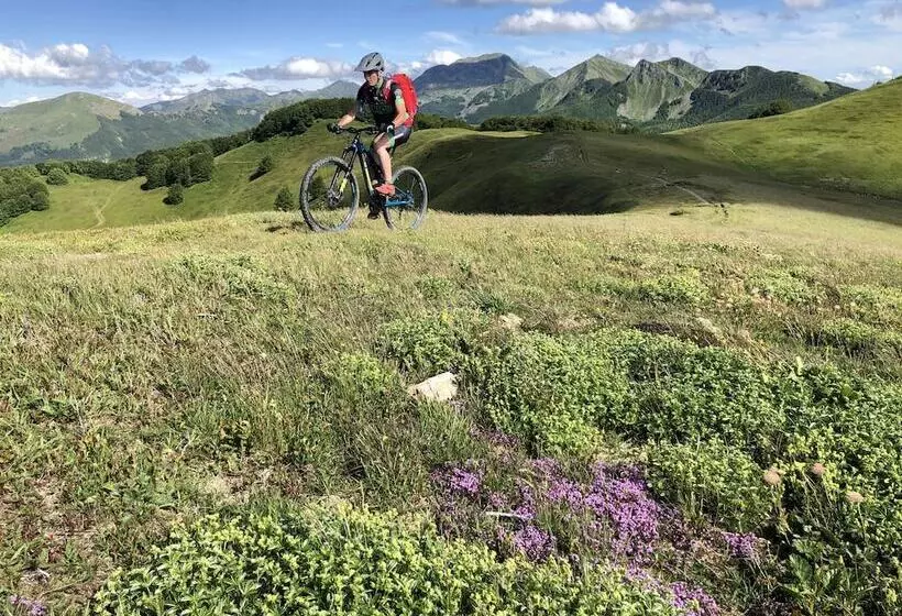 ベッドアンドブレックファースト Villa Belvedere