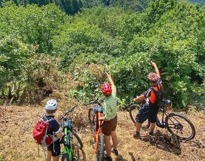 ベッドアンドブレックファースト Villa Belvedere