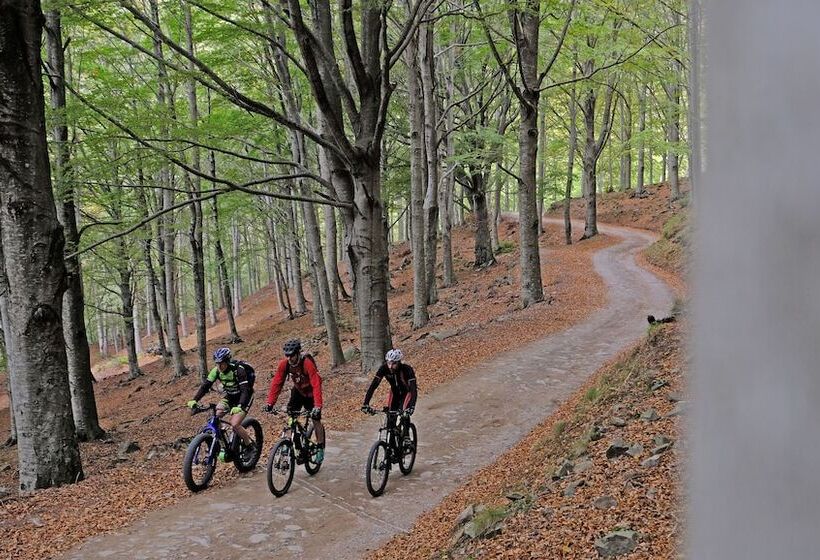 مبيت وإفطار Villa Belvedere