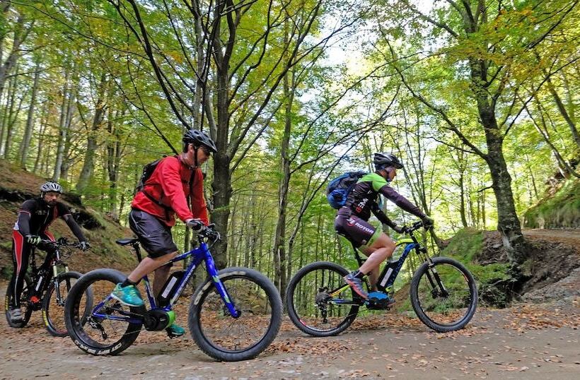 مبيت وإفطار Villa Belvedere