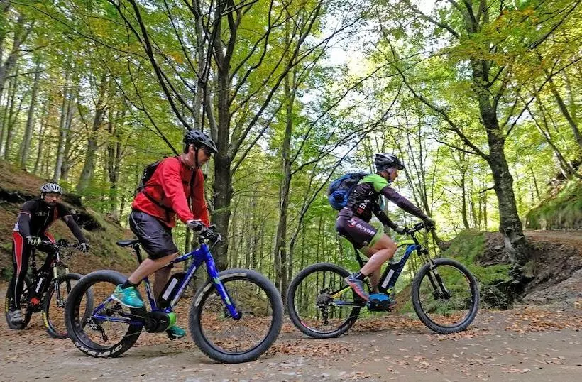 ベッドアンドブレックファースト Villa Belvedere