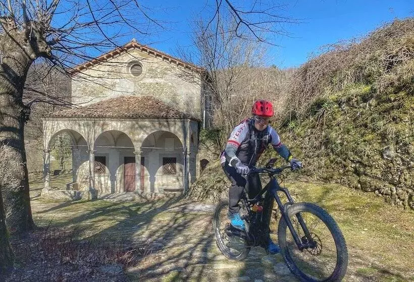 ベッドアンドブレックファースト Villa Belvedere