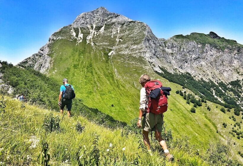 مبيت وإفطار Villa Belvedere