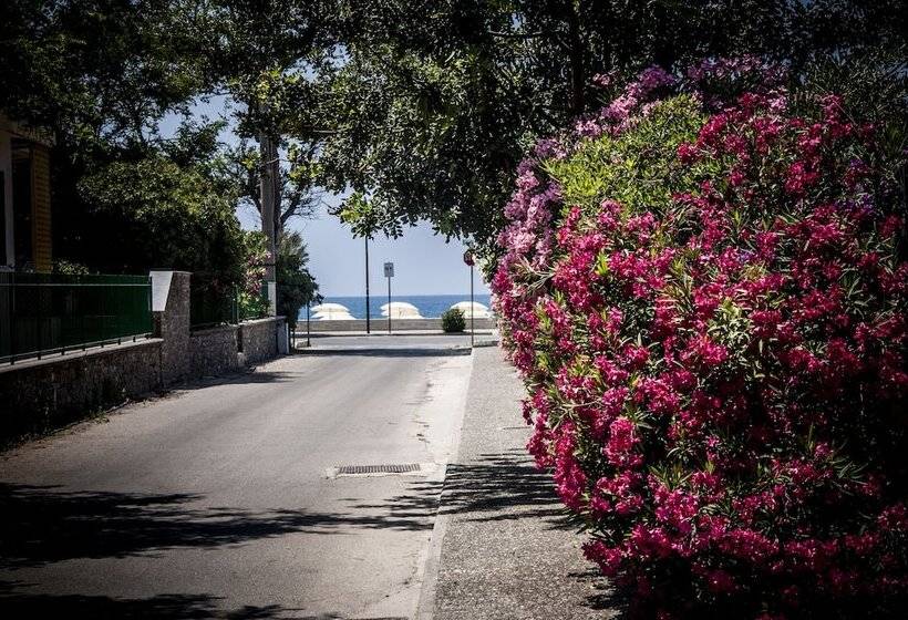 فندق Oliveto A Mare Suite & Apartment