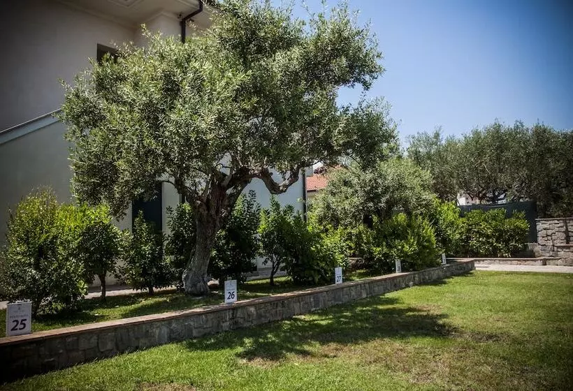 Hotelli Oliveto A Mare   Suite & Apartment
