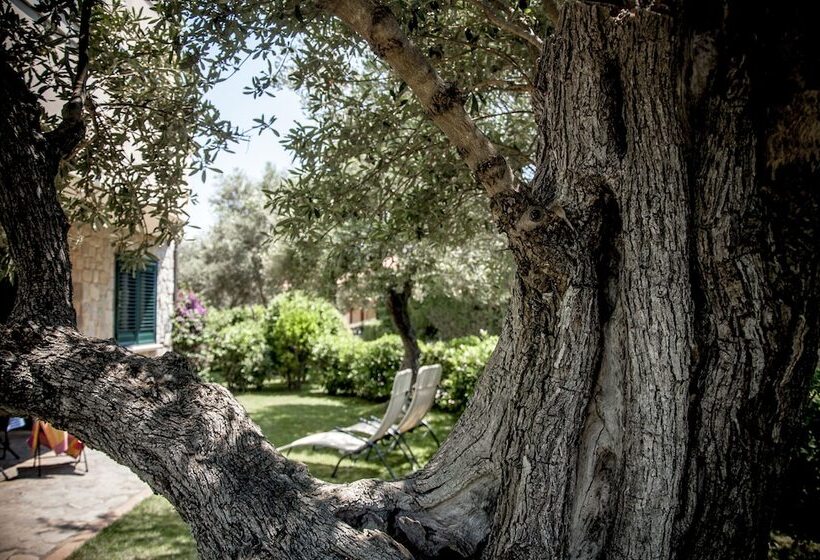 فندق Oliveto A Mare Suite & Apartment