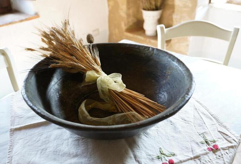 교외 호텔 Agriturismo La Colombella