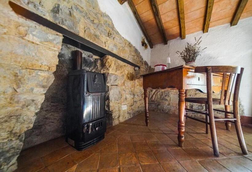 교외 호텔 Agriturismo La Colombella