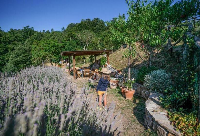 교외 호텔 Agriturismo La Colombella