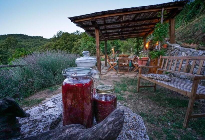 교외 호텔 Agriturismo La Colombella