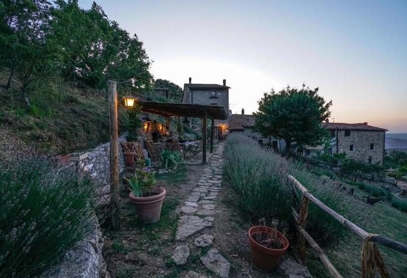 교외 호텔 Agriturismo La Colombella